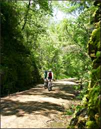 Bicyclists on the Badger State Trail.
