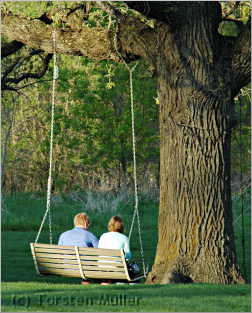 Couple sitting in a swing underneath oak tree