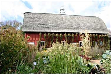 Heritage Farm barn at Seed Savers.