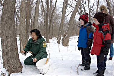 Tapping a maple tree at Fort Snelling.