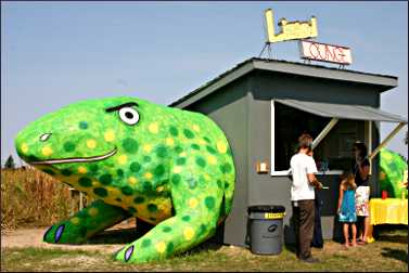 The Lizard Lounge at Franconia Art Park.
