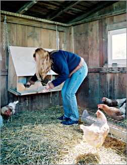 A girl gathers eggs at a farm B&B.