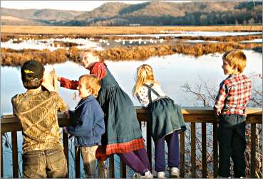 Children look at tundra swans near Alma.