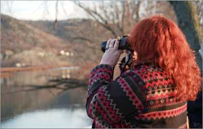 A woman watches tundra swans.