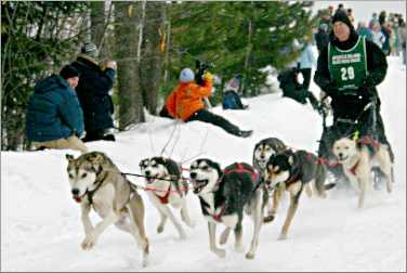 A musher in the Apostles.