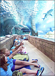 Sleeping in the Ocean Tunnel.