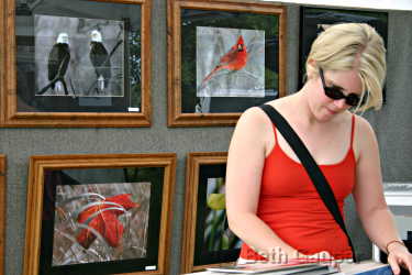 Woman looking through a bin of images