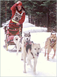 A musher at the Beargrease finish line.