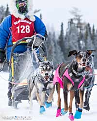 A musher on the Beargrease.