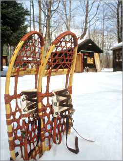 Snowshoes at Bear Track cabins.