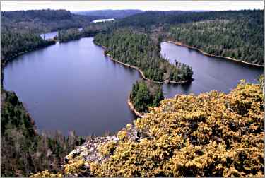 A view of the Boundary Waters from the Border Route Trail.