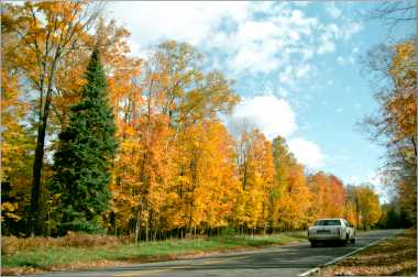 Fall color along a road near Cable.