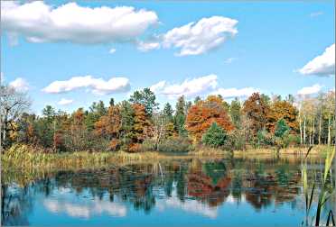 Fall color along a lake near Cable.