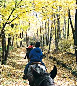 Horseback riding in northwest Wisconsin.