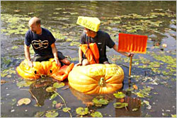 Pumpkin regatta in Cedarburg.