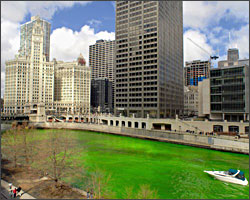 The Chicago River dyed green.
