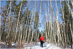 Snowshoeing near Crosslake.