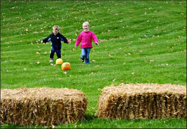 Pumpkin rolling at Seed Savers.