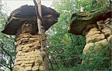 A dog replicates H.H. Bennett's famous Dells photo.