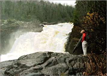 Devil's Kettle in C.R. Magney State Park.