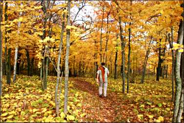 Superior Hiking Trail in Duluth.