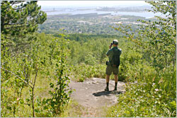 Brewers Ridge on the Superior Hiking Trail.