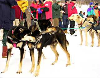 Beargrease meet 'n' greet.