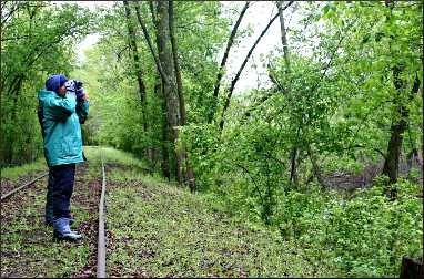 Birder on the Chippewa River sloughs.