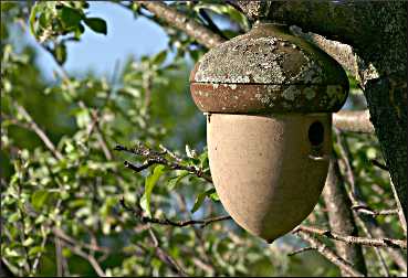 A bird house in Wisconsin.