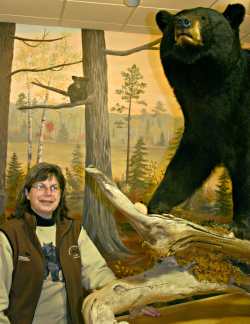 Curator Donna Phelan at the bear center.