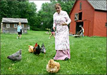 Feeding chickens at Historic Forestville.