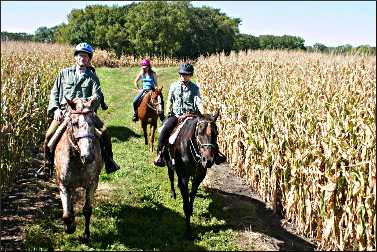 A trail ride in Fort Ridgely State Park.