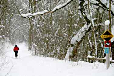 A skier in Frontenac State Park.