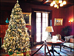 Trees decorate rooms in Glensheen.