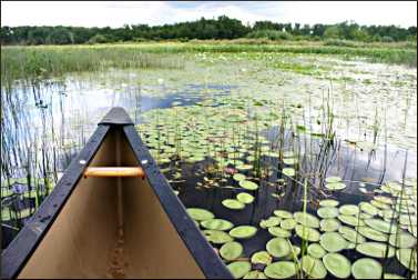 Canoeing at Crex Meadows.