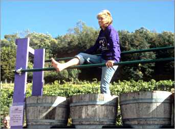A grape-stomp contestant in a barrel.