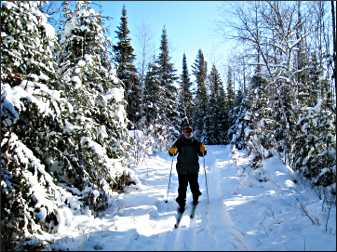 Skiing on the Lace Lake Trail.