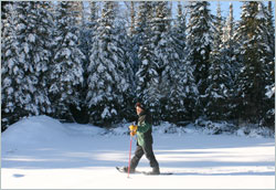 Snowshoeing on the Gunflint Trail.