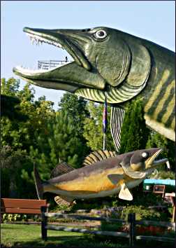 The giant muskie at the Hayward Fishing Museum.