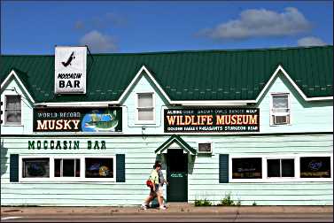 Hayward's Moccasin Bar.