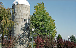 The silo room at the Ambrosia Inn.