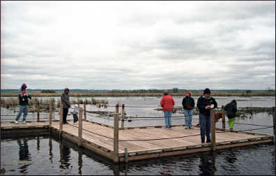 A floating boardwalk on Horicon Marsh.