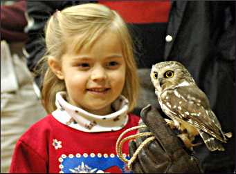 A saw whet owl with a girl.