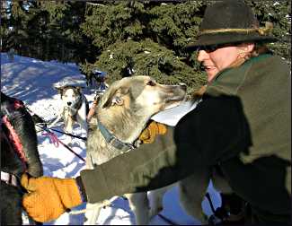 A guide on a mushing trip.