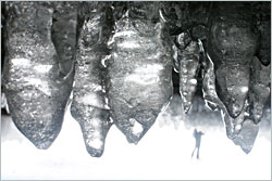 Ice stalactites in the Apostles.