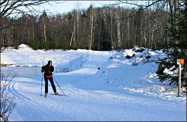 Ski trails at ABR.