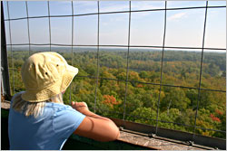 The view from Itasca's fire tower.