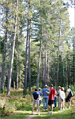 Hikers gather around a naturalist at Itasca.