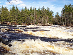 The Kettle River in spring.