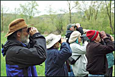 Birders in spring.